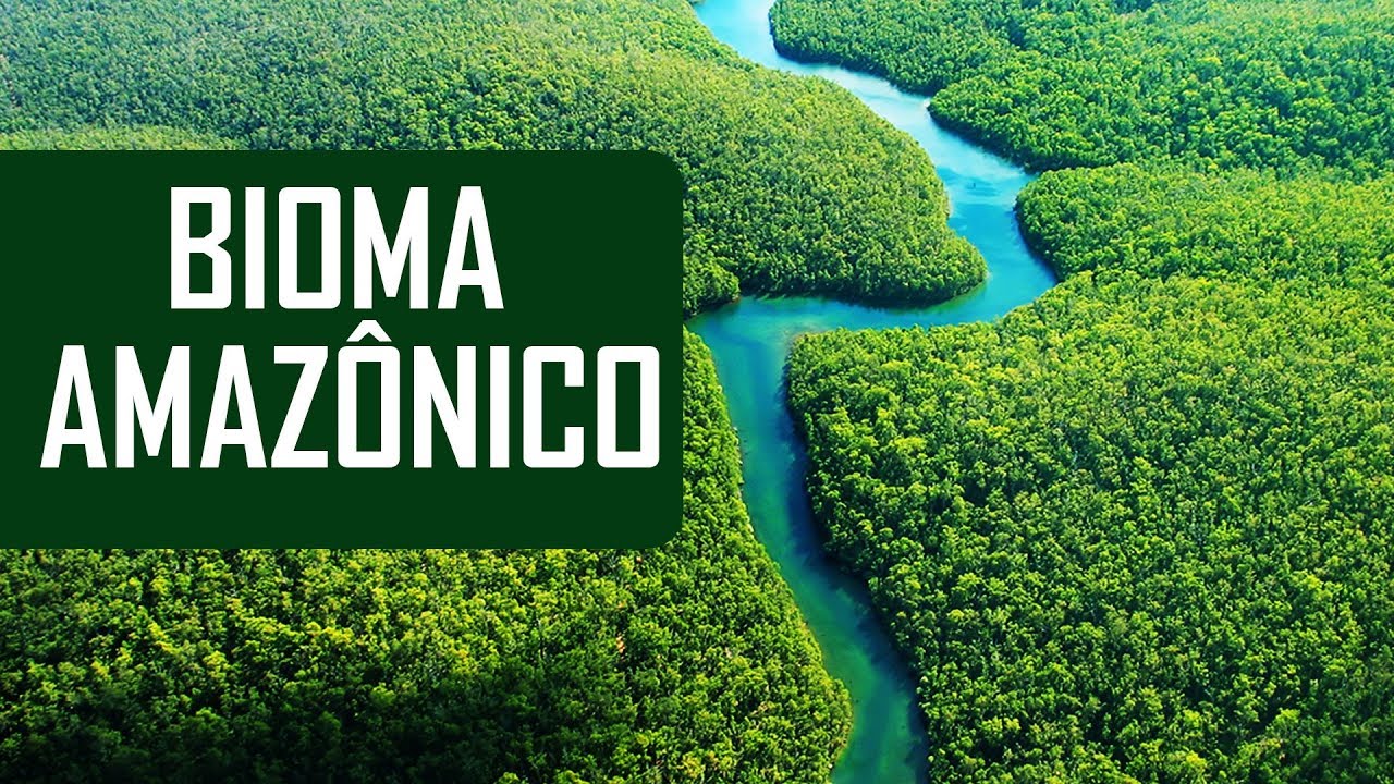 BIOMA AMAZÔNICO - INTRODUÇÃO AOS BIOMAS DO BRASIL #AMAZONIA #BIOMA #NATUREZA
