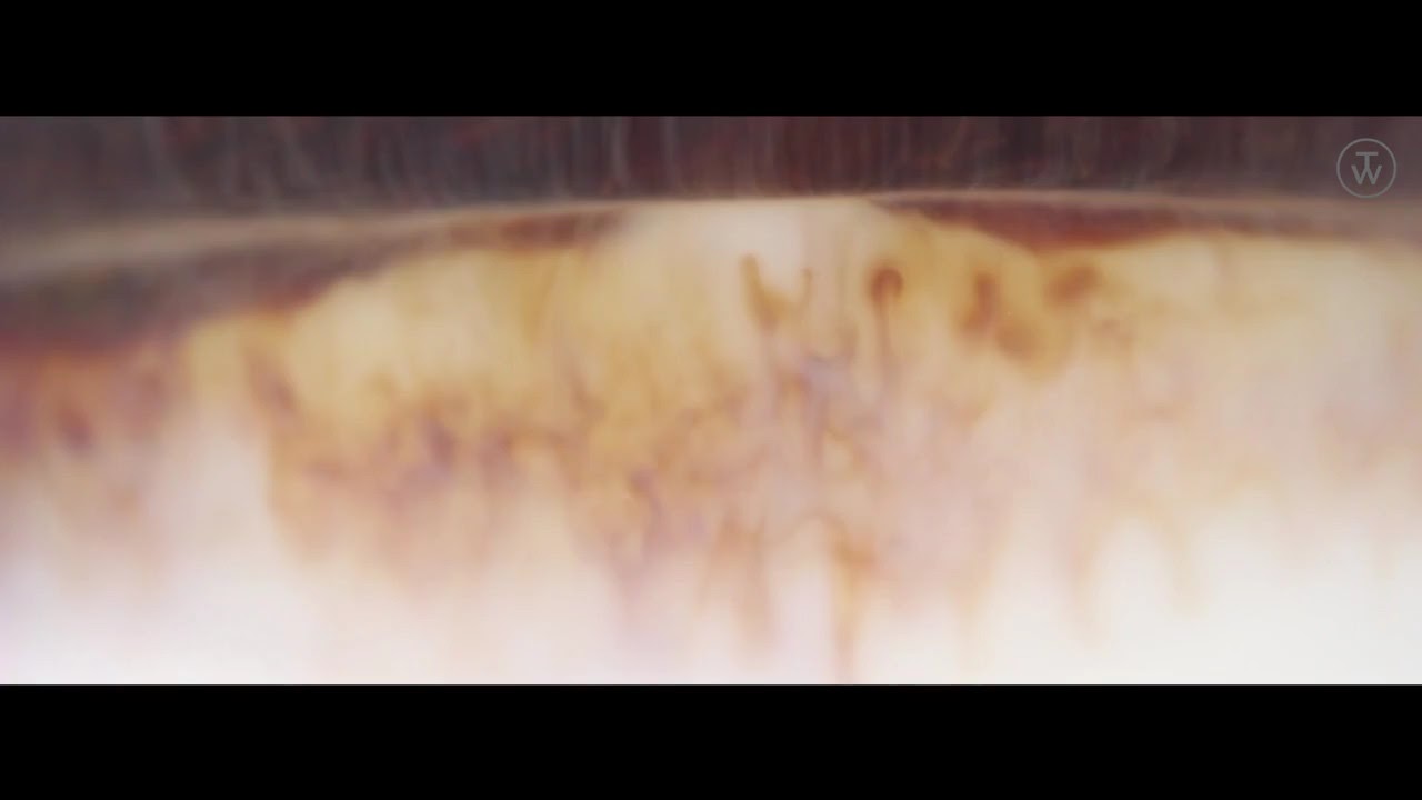 Video-Vorschau