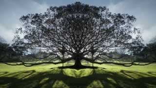 Everything Changes (Album) - Julian Lennon 'Everything Changes' The Videos