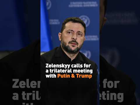 Zelenskyy calls for trilateral meeting with Putin and Trump