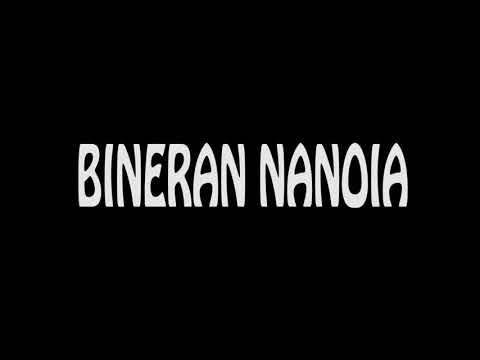 BINERAN NANOIA
