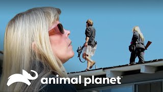 Thumbnail del capítulo