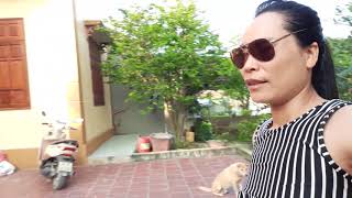 Download lagu Hướng dẫn cắt cà cực nhanh-jfa vlog mp3 Download lagu Hướng dẫn cắt cà cực nhanh-jfa vlog mp3