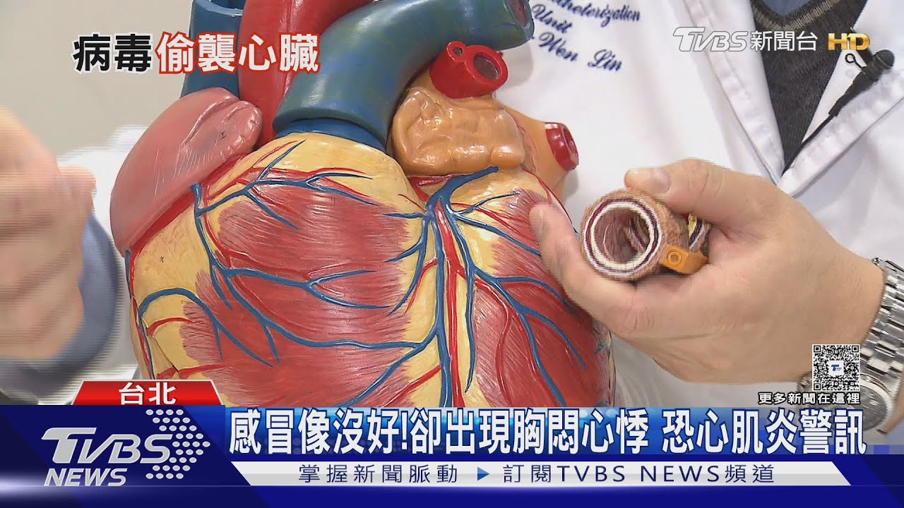 感冒後胸悶、心悸別硬撐!病毒性心肌炎盯上「這類人」! 高風險族群與警訊一次看懂