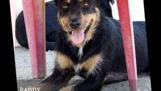 Right Here Waiting for YOU!