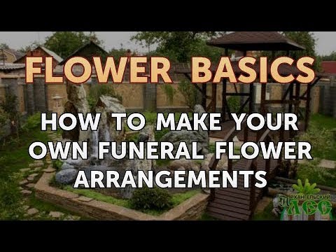 How to Get More Canna Lily Blooms