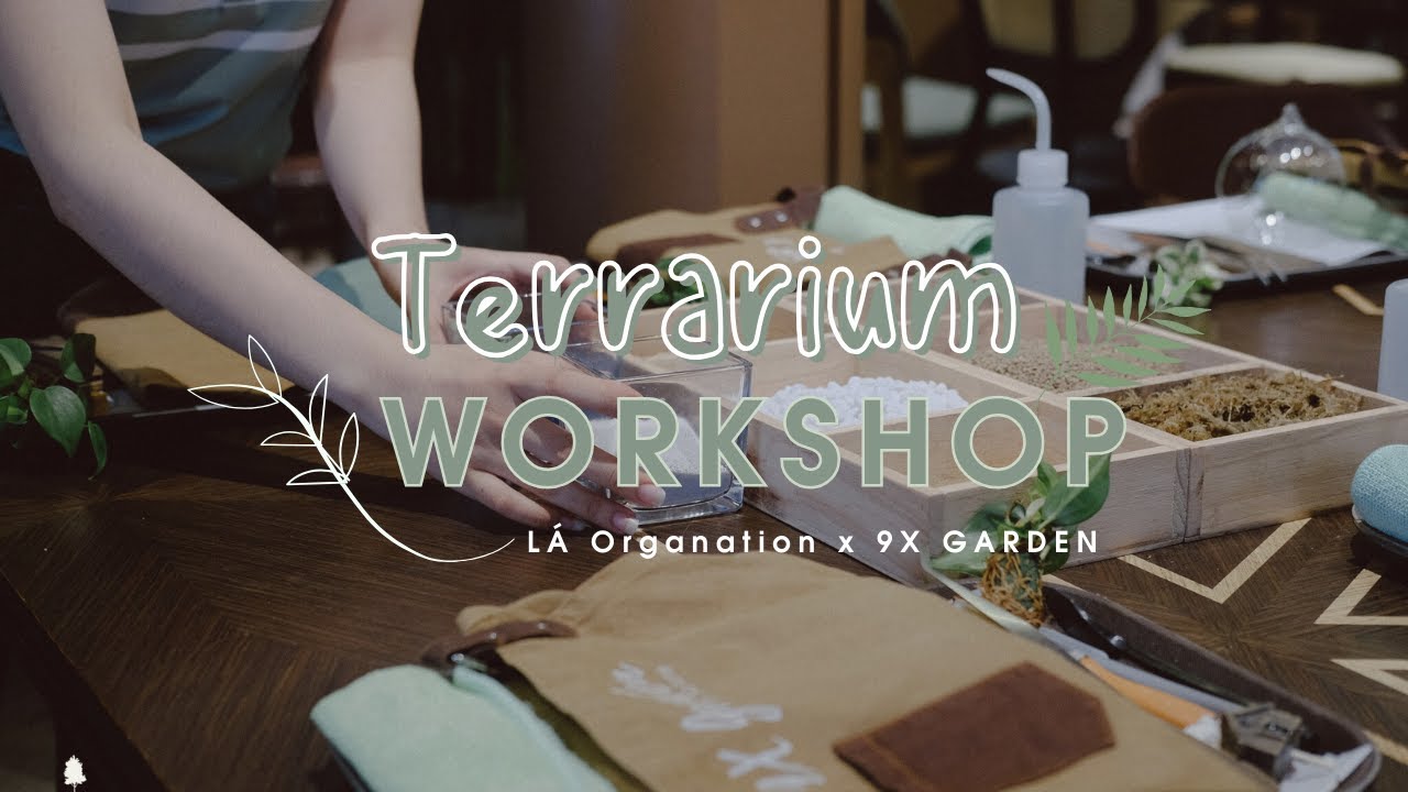 Workshop trồng cây » Lá Organization