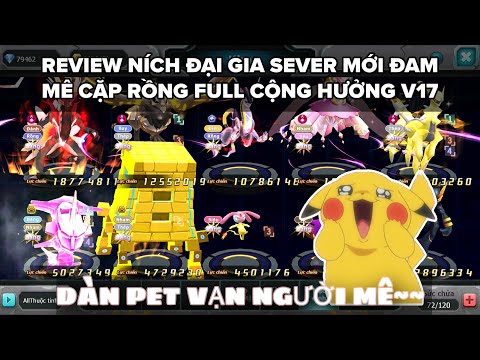 Poke Dai Chien | REVIEW OF THE TALENT OF THE RICH COLLECTOR OF TEAM RONG FULL, SO AWESOME !!