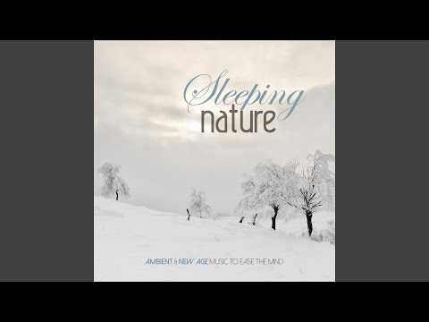 download lagu mp3 mp4 Adam Fielding Lost Days, download mp3 Adam Fielding Lost Days free download, download mp3 Adam Fielding Lost Days