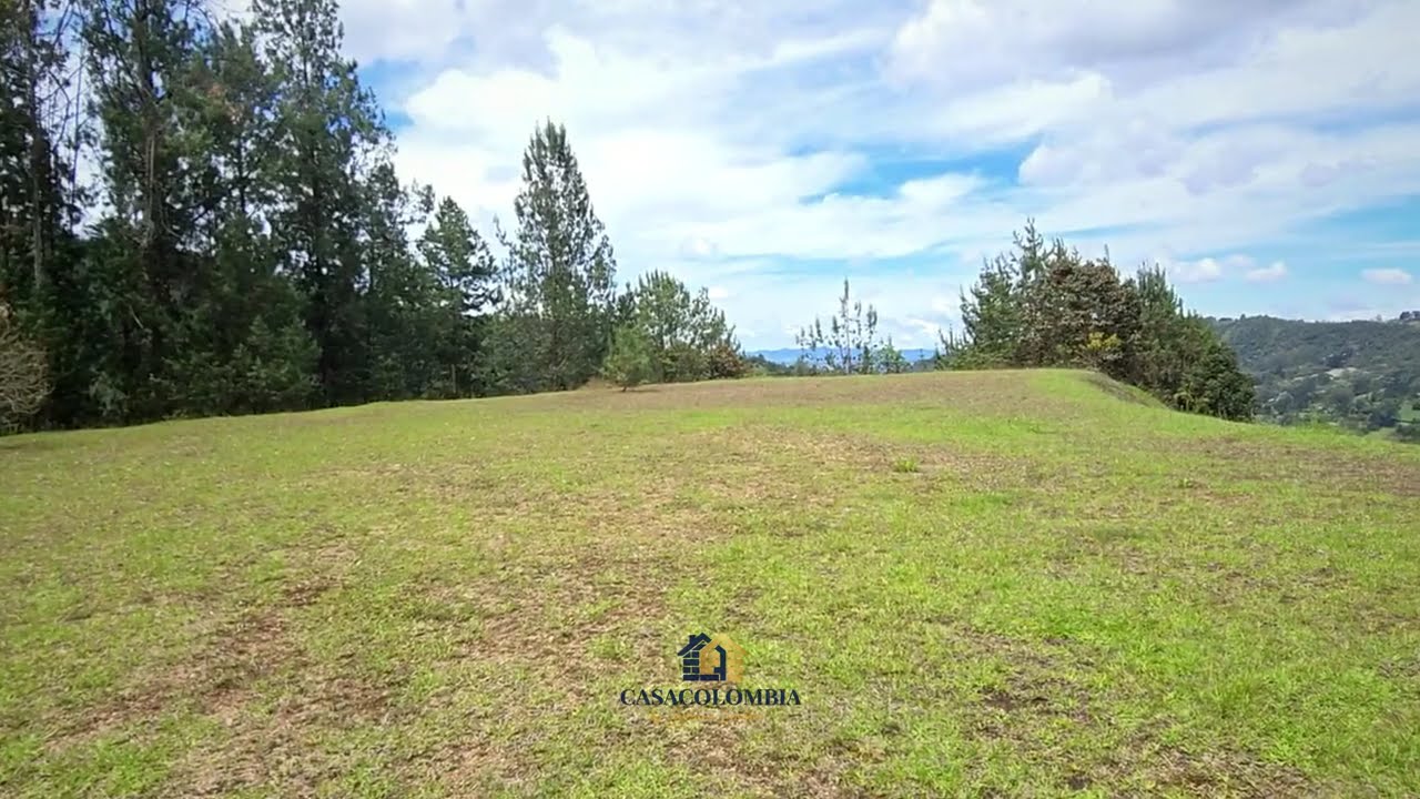 Large Lot in Fizebad video tour