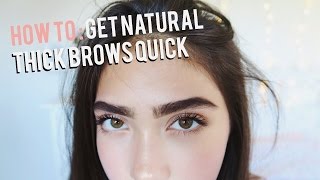 How To Grow Eyebrows FAST! (Thick & Natural)