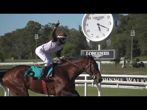 201101 c07 Nacional/ EL PATRIOTA