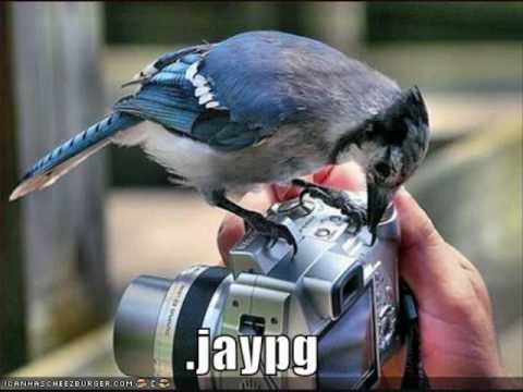 Michael jackson minimix