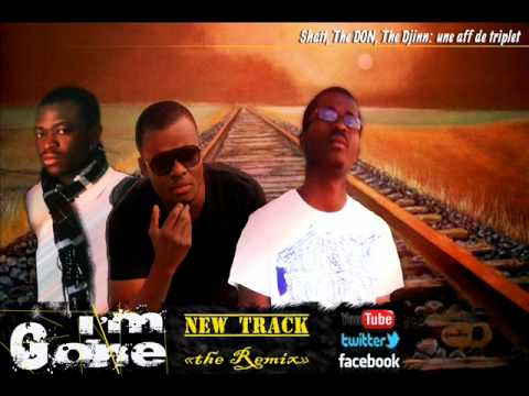 I'm Gone [Remix] - The Don, Shatt, The Djinn