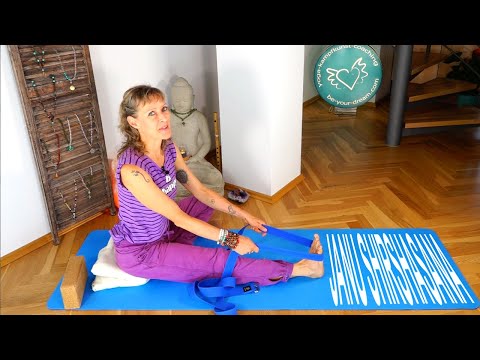 Yoga lernen mit Jane - Heutige Asana JANU SHIRSHASANA - KOPF ZUM KNIE