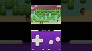 Pokémon Sapphire playthrough part 9: So many trees to cut!!!