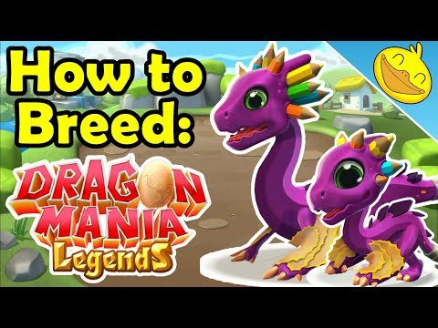 How to Breed the SCRIBBLE DRAGON! 3 BEST Breeding Combinations! - DML