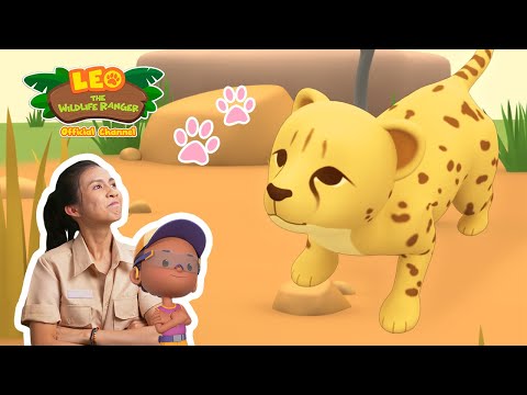 Witness21  2022 12 03