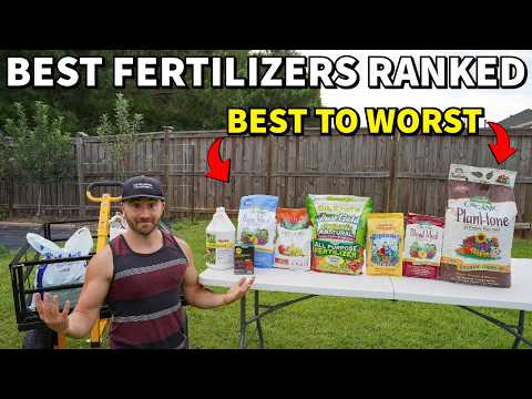 The BEST Fertilizers For Vegetables Ranked BEST To WORST!
