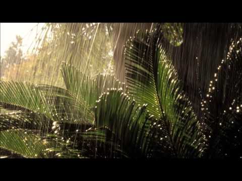 RunC.T. - Like Water