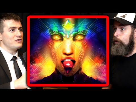 What a DMT trip is like | Duncan Trussell and Lex Fridman