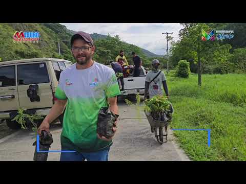 Jornada de Reforestación municipio Campo Elías