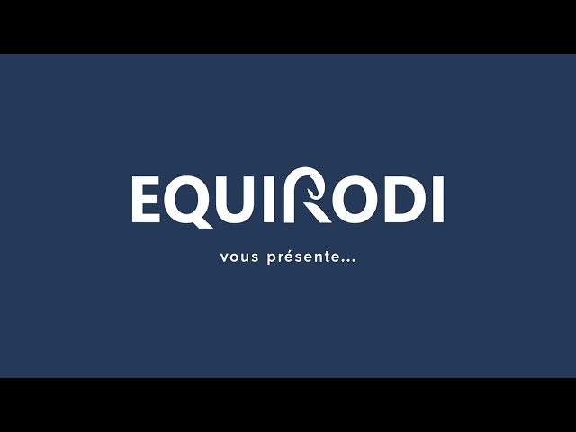 Cavalla Zangersheide In vendita 2023 Sauro ,  El Pintador Dieu d'Arras