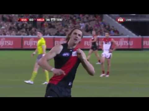 BTV: Daniher punishes Dunn