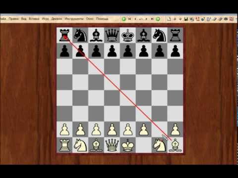 Начальный курс шахматной стратегии. Chess strategy. Initial course