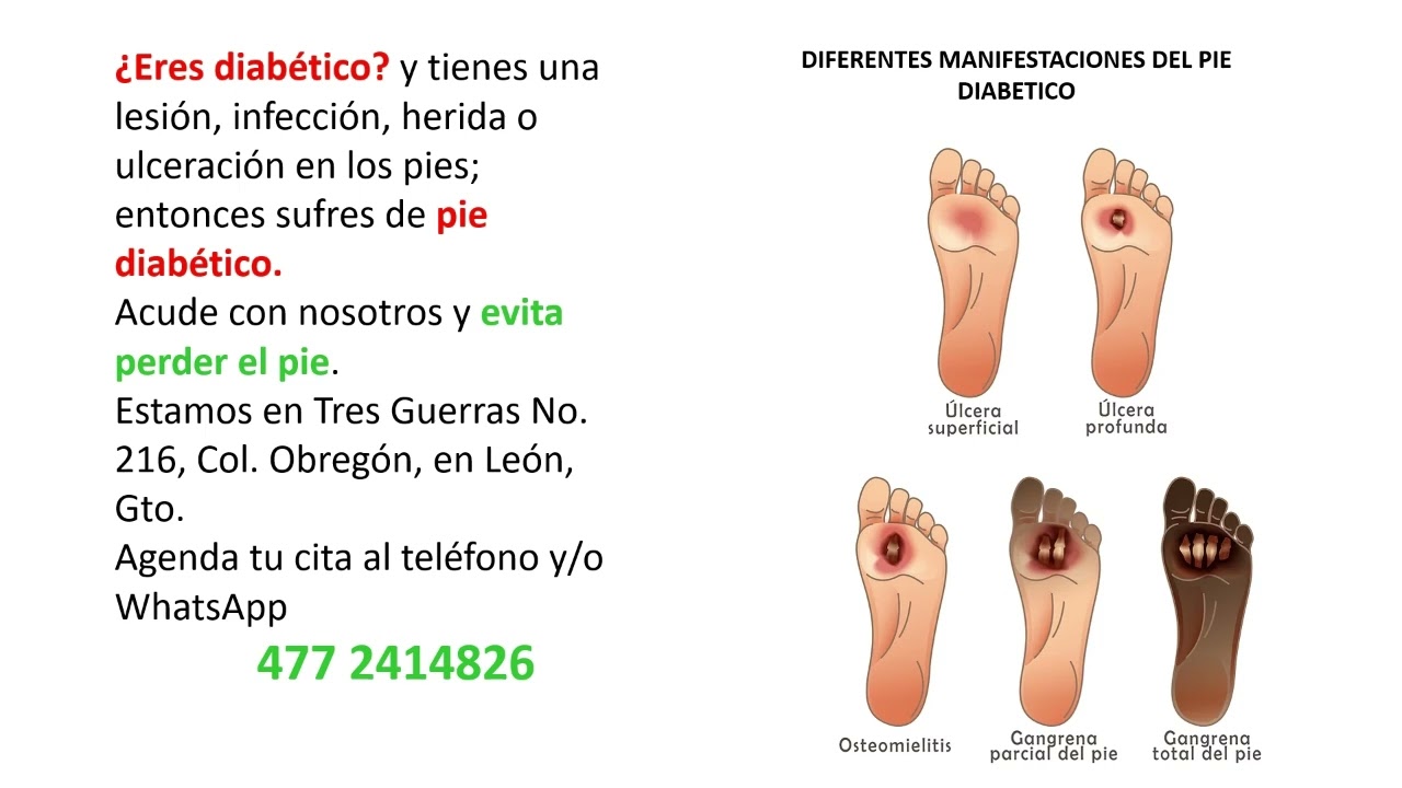 Marco Antonio Ayala García-24