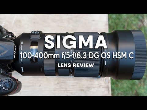Video thumbnail for Video Review 2