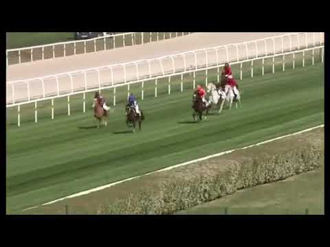 Bz boleró kincsempark póni galopp 1 .hely