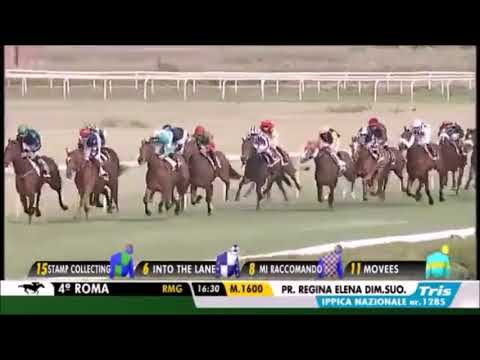 TEST CRONACHE  -   Premio Regina Elena 2017