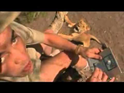 Wildboyz | Nintendo DS Commercial