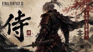 FF11 オデシーB侍視点 210万ルート解説