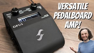 Video thumbnail for The Perfect Amp For Your Pedalboard! - Two Notes OPUS by SRGuitar