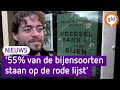 Zo kun je de insecten helpen