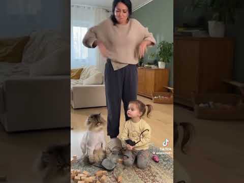 А яка кицька у вас? Коты приколы. Дети приколы. Смешные Дети.