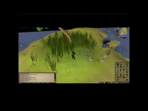 Mogre Slayer task (trick to kill mogres fast) Runescape