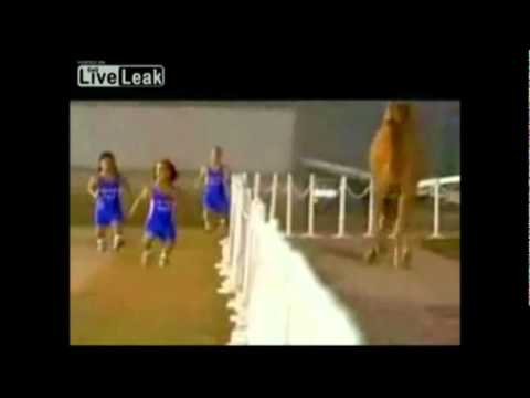 4 Midgets Race a camel (w/ Super Mario Bros. Sounds)