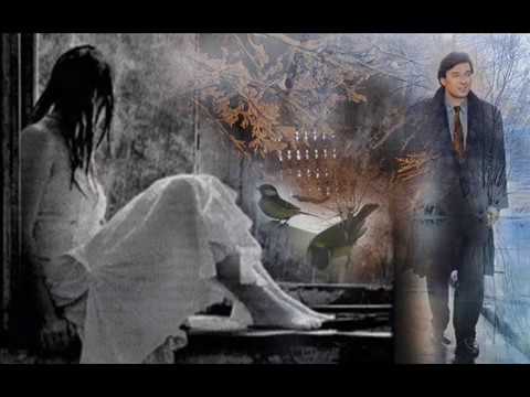 Karel Gott / Bílý sníh se snáší