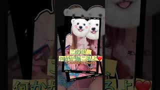 ライブ配信キャバ嬢のハプニング‼️ #放送事故 #おねえさん #tiktok #可愛い #tiktokライブ #コスプレ #ドレス #美女