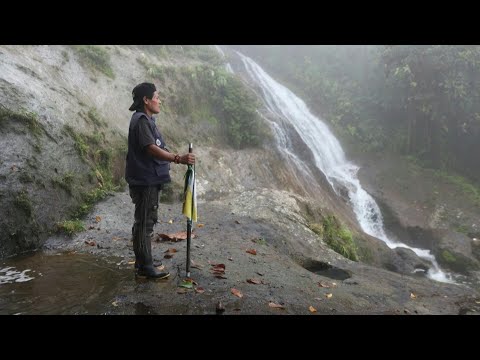 Colombia's Awa Indigenous people, defenders of the jungle struggling to survive | AFP
