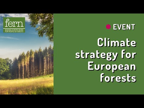 What climate strategy for European forests? Rethinking their contribution to climate neutrality