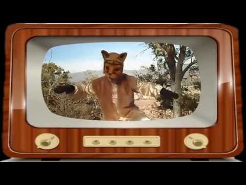 Regatón del Puma - Los Interactivos