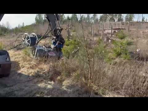 Videoklipp