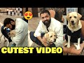 Rakshit Shetty CUTE Moment & Conversation With Dog Charlie | 777 Charlie Mumbai Press Meet