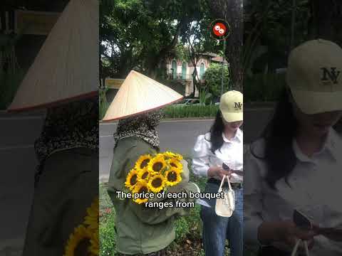 Why Hanoi's Autumn is Special?