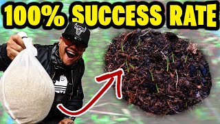 100% SUCCESS RATE Spring OVERSEED Guide! Guaranteed Germination!