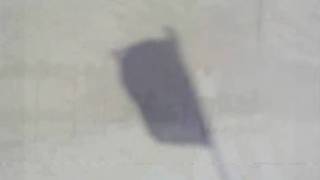 Ship Of Dreams, Venice Arts Club Music